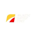 Black Optix Tint logo