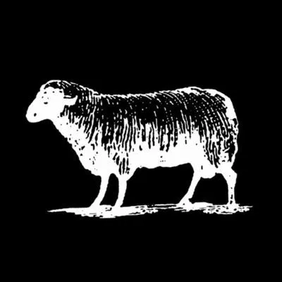 Black Sheep Skate Shop