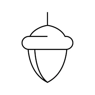 Black Squirrel logo