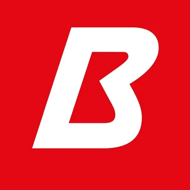 BLAGUSS Reisen GmbH logo
