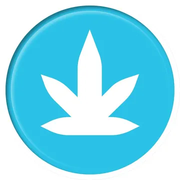 BLAZE® Logo
