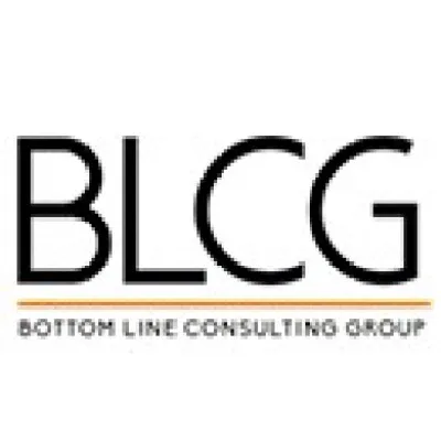 Blcg Consulting logo