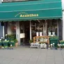 Logo Bloembinderij Acanthus