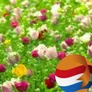 Logo Bloemenveld XL