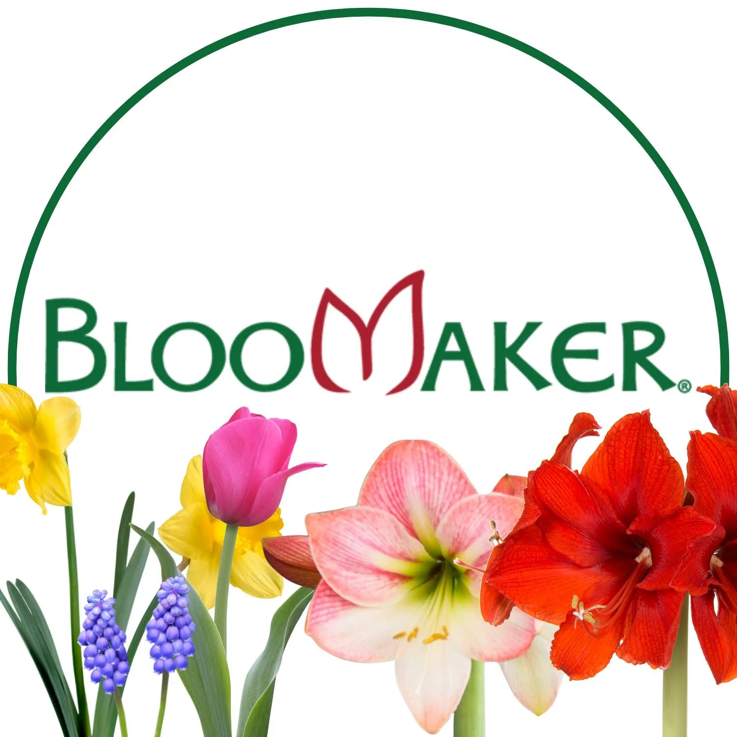 Bloomaker