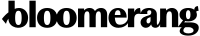Bloomerang logo