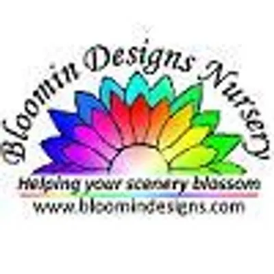 Bloomindesigns