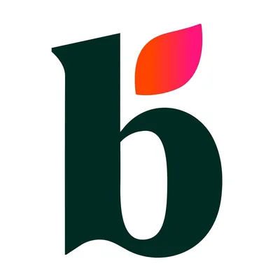 Bloom Money logo