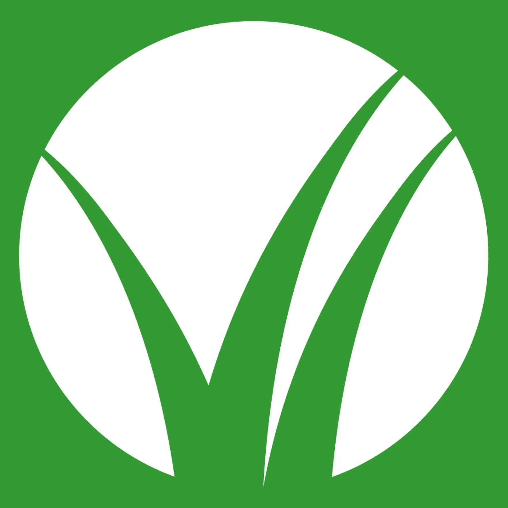 Bloomtree Realty logo