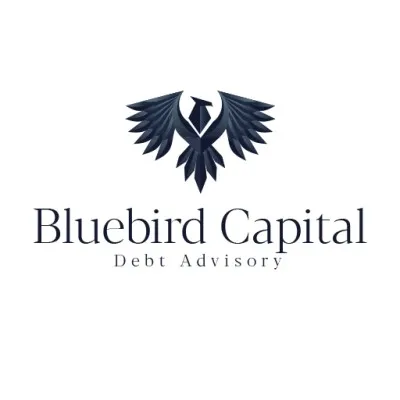 Bluebirds Capital logo
