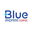 BlueExpress-company-logo