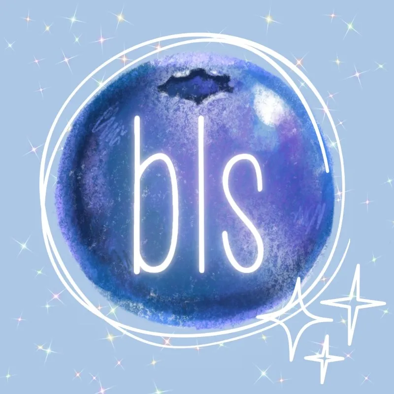 Blueberrylaneshop