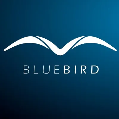 BLUEBIRD Consulting AG logo