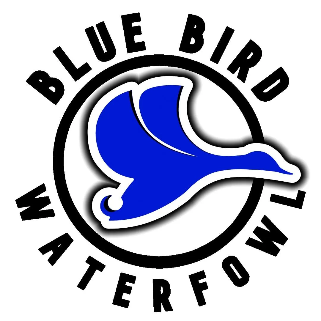 Bluebirdwaterfowl