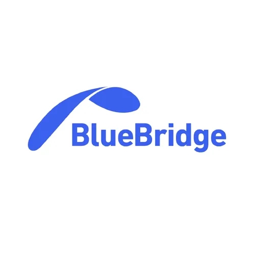 Blue Bridge Baltic logo