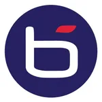Bluechip Enterprises Pty Ltd (bluechip Infotech) Logo