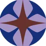 Logo Bluefinger