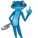 BLUEFROG PLUMBING + DRAIN logo