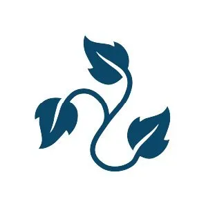 Blue Ivy Ventures logo