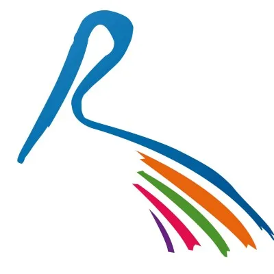 Blue Pelican Consulting Limited logo