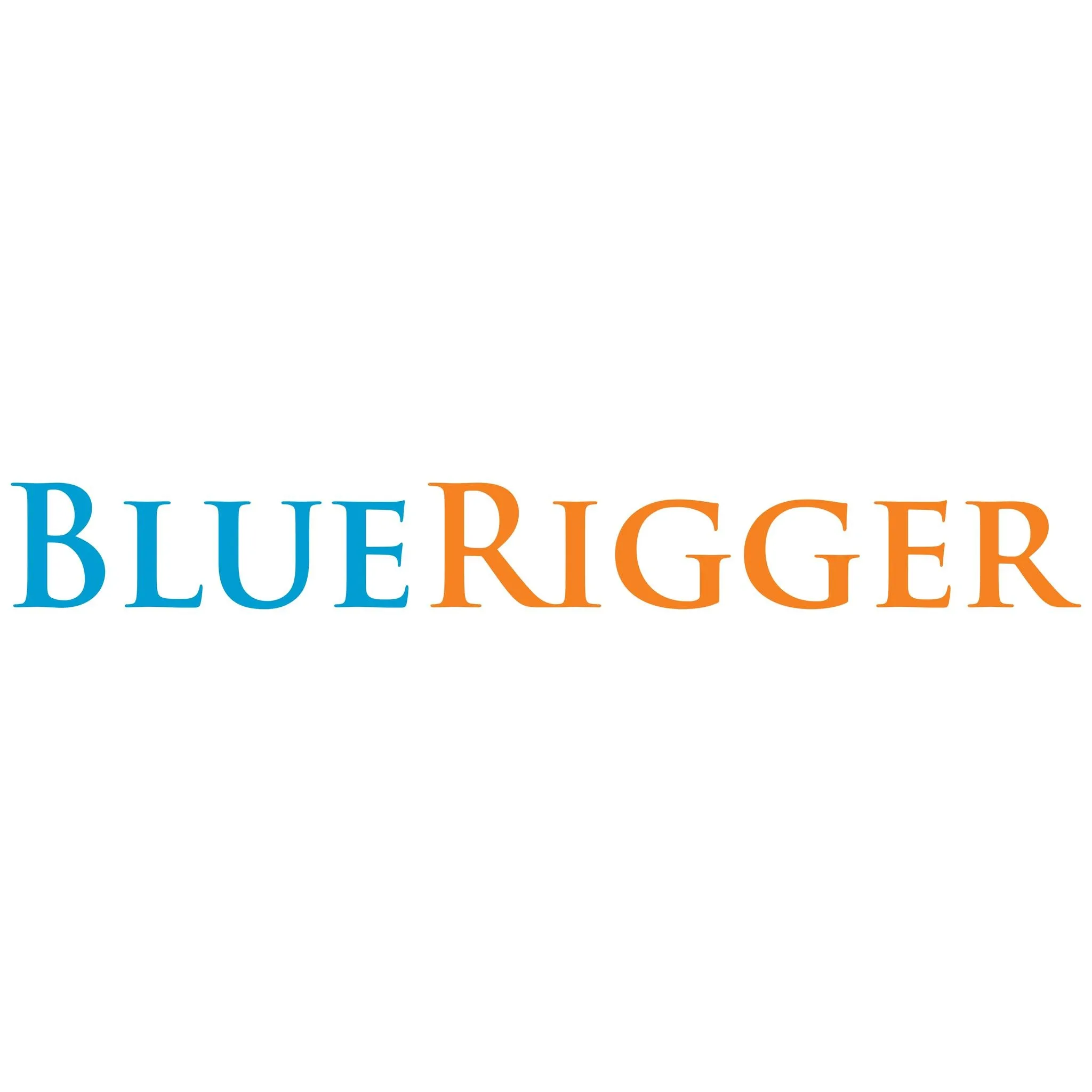 BlueRigger logo