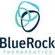 BlueRockTX logo