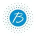 Blue Sky logo