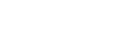BlueStar logo