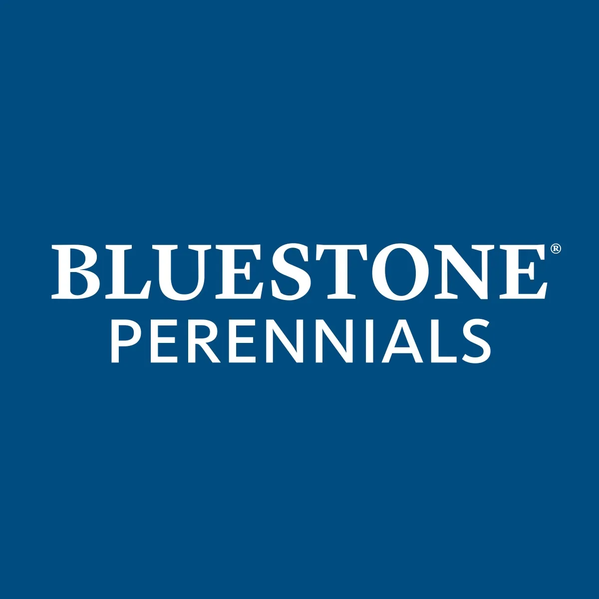 Bluestone Perennials