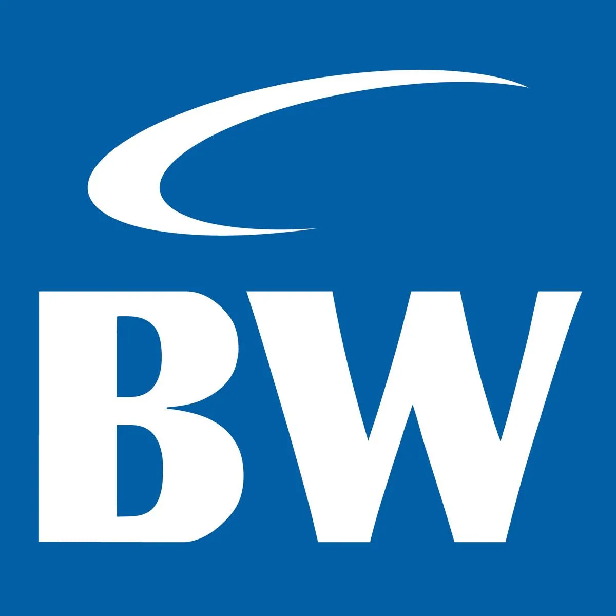 Blue Wave Communications LLC logo
