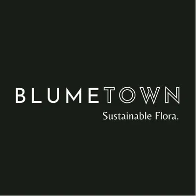 BLUMETOWN logo