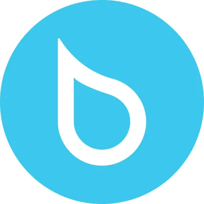 bluuwash.com logo