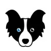 Bonafide.ai, Inc. logo