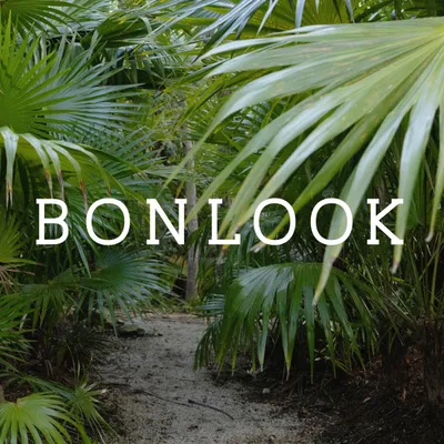 Bonlook