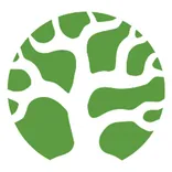 Bonsai logo/icon