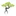 Bonsai Solutions