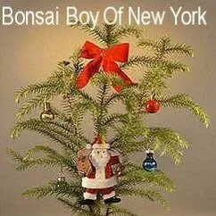 Bonsaiboy
