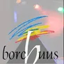 Logo Borchuus