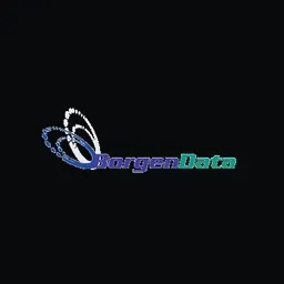 BORGEN DATA BJØRN KRISTIANSEN