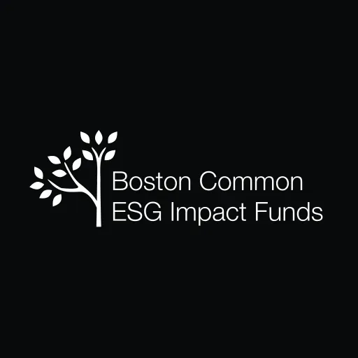 Boston Common Sustainable Emerging Markets Fund, LLC logo