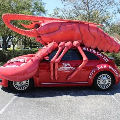 Boston Lobster Feast