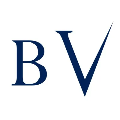 Boston Venture Group logo