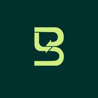 Botsync logo