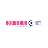 BoundHub logo/icon