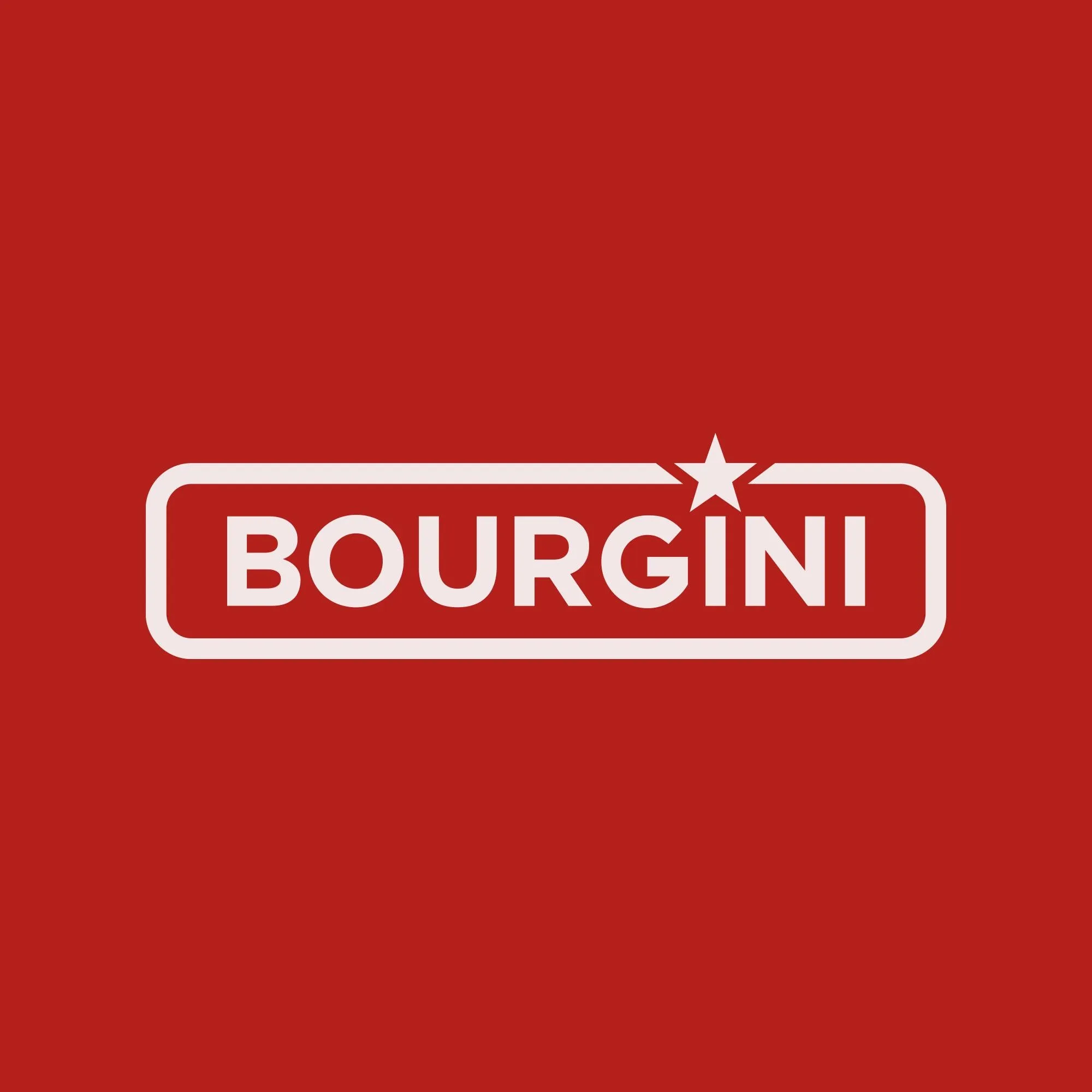 Bourginishop