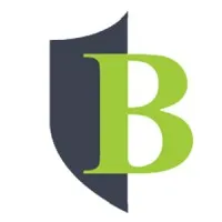 Boutique Ventures logo