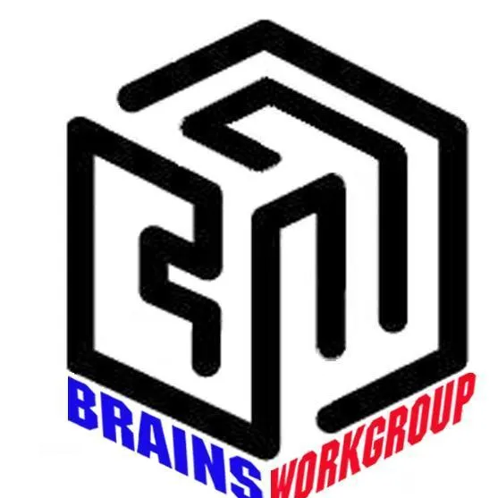 Brains Workgroup, Inc. logo