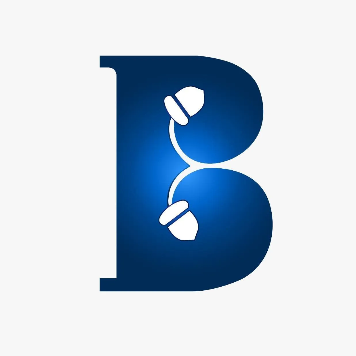 Branding Nuts Logo