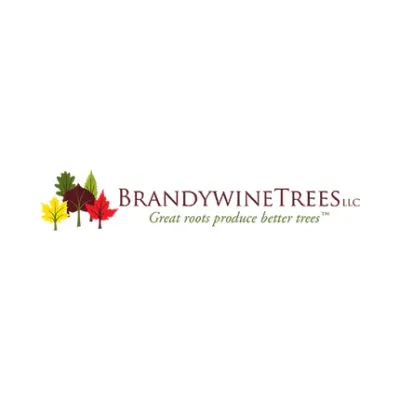 Brandywinetrees