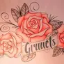 Logo Brasserie Gruuëts!